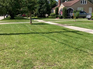 Karen D.'s Lawn Mowing Service service result