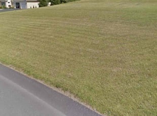Amber G.'s Lawn Mowing service result