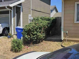 Bush Trimming by justin ahrens for Camilla P. in Galt, CA