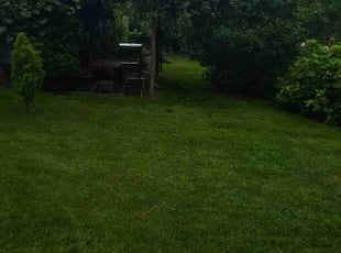Kenneth B.'s Lawn Maintenance service result