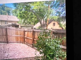 Leaf Removal by Junior Hernandez for Elizabeth K. in Denver, CO