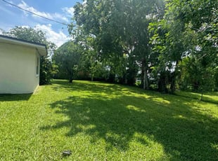 Aida R.'s Grass Cutting service result