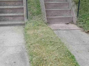 Barbara H.'s Lawn Care service result