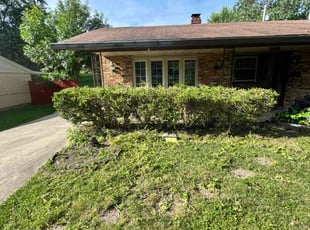 Bush Trimming by Kyran Bishop for Susan P. in Dayton, OH