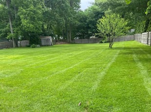 Chris M.'s Yard Cutting service result