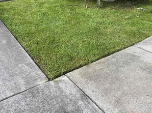 Mike E.'s Lawn Care service result