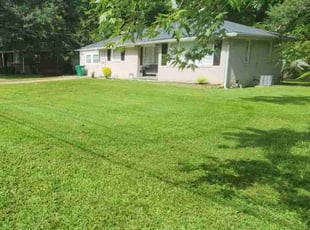 Renee I.'s Yard Cutting service result