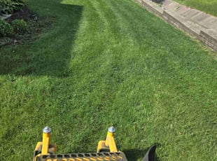 Barry B.'s Lawn Maintenance service result