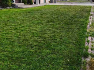 Jessie R.'s Lawn Care service result