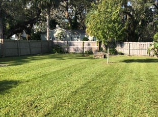 Cynthia T.'s Lawn Mowing service result