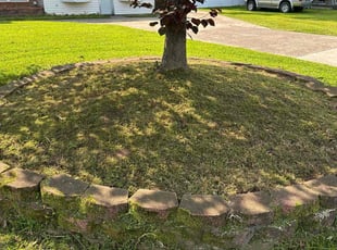 Weeding by Justin Norris for Kyle N. in Suffolk, VA