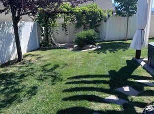 Sheryl T.'s Lawn Mowing service result