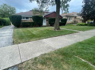 Trudy T.'s Lawn Mowing Service service result