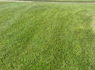Debbie W.'s Lawn Care service result