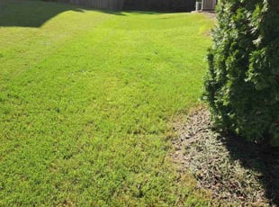 Richard G.'s Yard Cutting service result