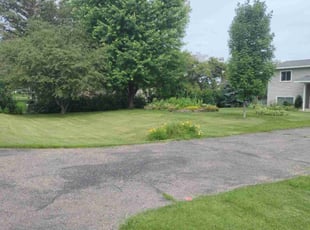 Venita Y.'s Lawn Care service result
