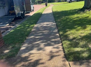 Larissa O.'s Lawn Maintenance service result