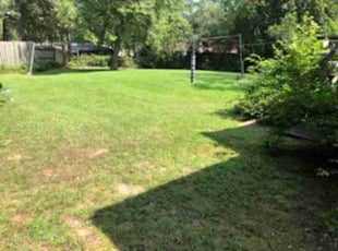 Bush Trimming by Tabitha Pollock for Deborah L. in Irmo, SC
