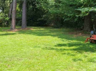 Larry H.'s Lawn Care service result