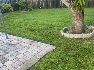 Lilliam G.'s Lawn Mowing service result