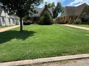 Donna K.'s Grass Cutting service result