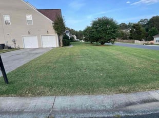 Kathy L.'s Lawn Service service result