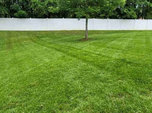 Nate G.'s Yard Cutting service result