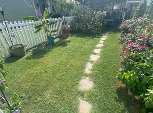 Megan D.'s Grass Cutting service result
