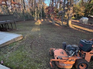 Michael Q.'s Lawn Maintenance service result