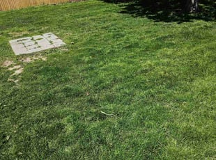 Lily L.'s Lawn Service service result