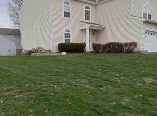 Chris F.'s Lawn Mowing service result