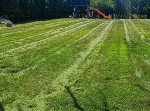 Savannah W.'s Lawn Service service result