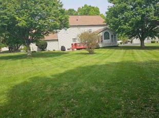 Lisa G.'s Yard Cutting service result