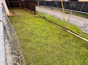 Ruben C.'s Lawn Service service result
