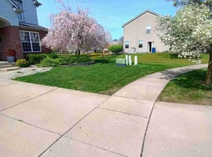 Jeanne J.'s Yard Cutting service result