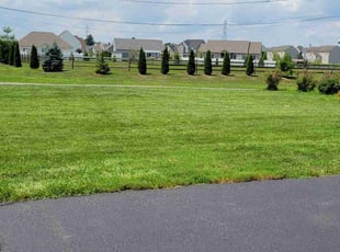 Venis W.'s Lawn Service service result