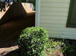 Bush Trimming by Jason Calhoun for Tago T. in Newnan, GA