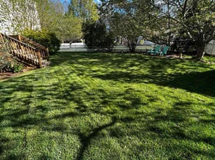 Judy H.'s Lawn Mowing Service service result