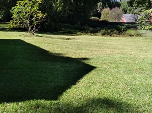 George N.'s Lawn Service service result