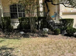 Bush Trimming by Lauren Frye for Cybele M. in San Antonio, TX