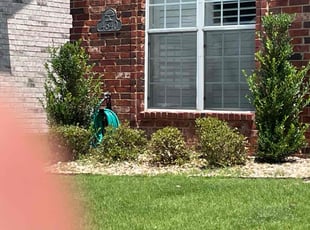Bush Trimming by Shanta Mitchell for Kerri S. in Collierville, TN