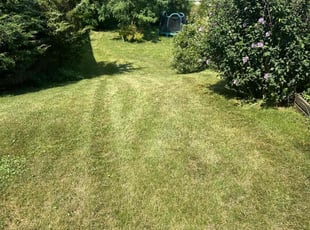 Zach W.'s Lawn Care service result