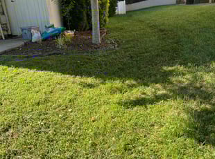 Walterina B.'s Lawn Care service result