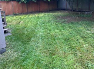 MATTHEW S.'s Lawn Care service result