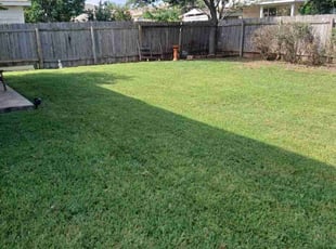 Jaye D.'s Grass Cutting service result
