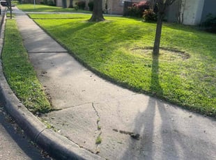 Keena M.'s Lawn Mowing service result
