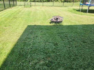 Trina W.'s Lawn Care service result