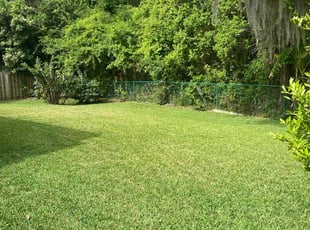 Lynda A.'s Lawn Mowing Service service result