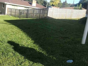 Tricia H.'s Lawn Mowing Service service result