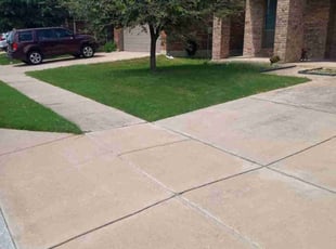 Seandra M.'s Yard Cutting service result